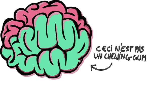 intelligence fluide